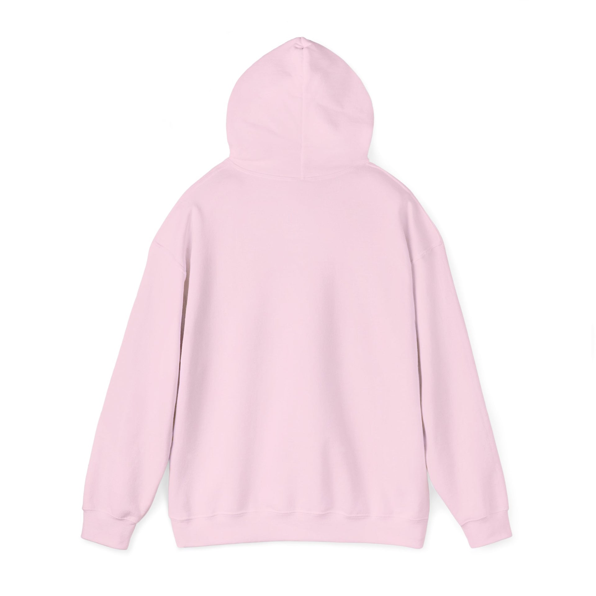 Trucker Hoodie — “3 Simple Rules: Be Safe, Enjoy The Ride, Don’t Hit Sh!t” Graphic Sweatshirt