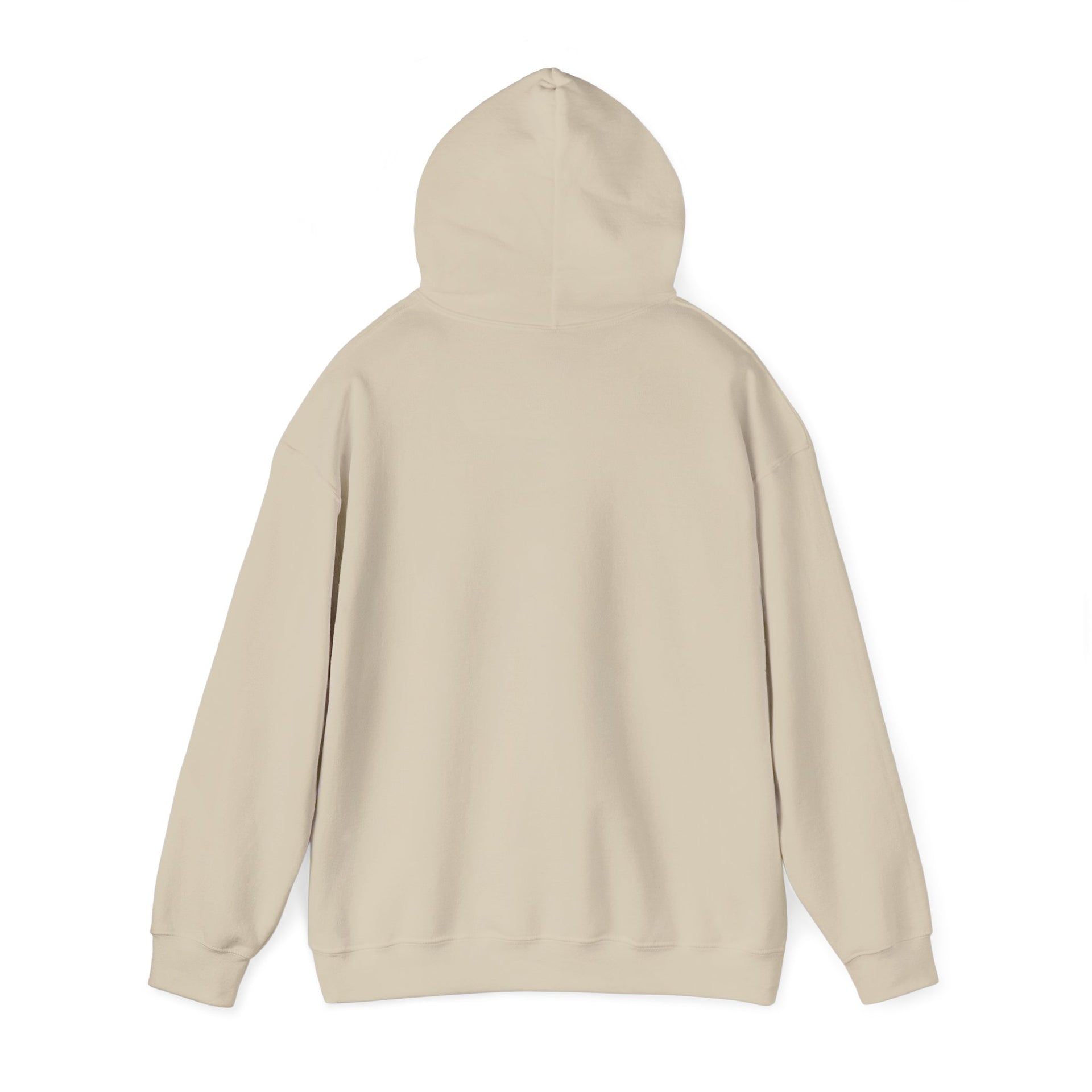 Trucker Hoodie — “3 Simple Rules: Be Safe, Enjoy The Ride, Don’t Hit Sh!t” Graphic Sweatshirt