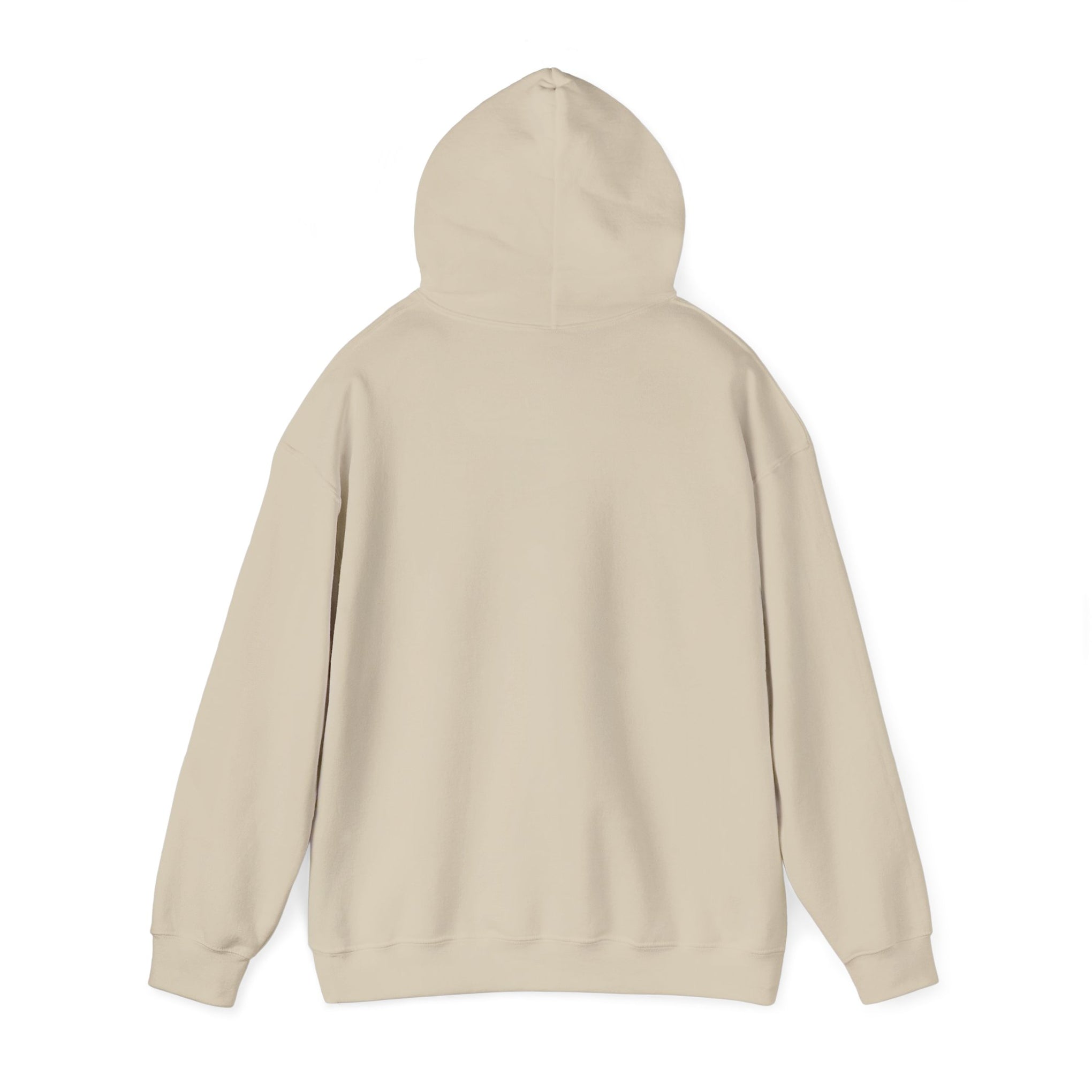 Trucker Hoodie — “3 Simple Rules: Be Safe, Enjoy The Ride, Don’t Hit Sh!t” Graphic Sweatshirt