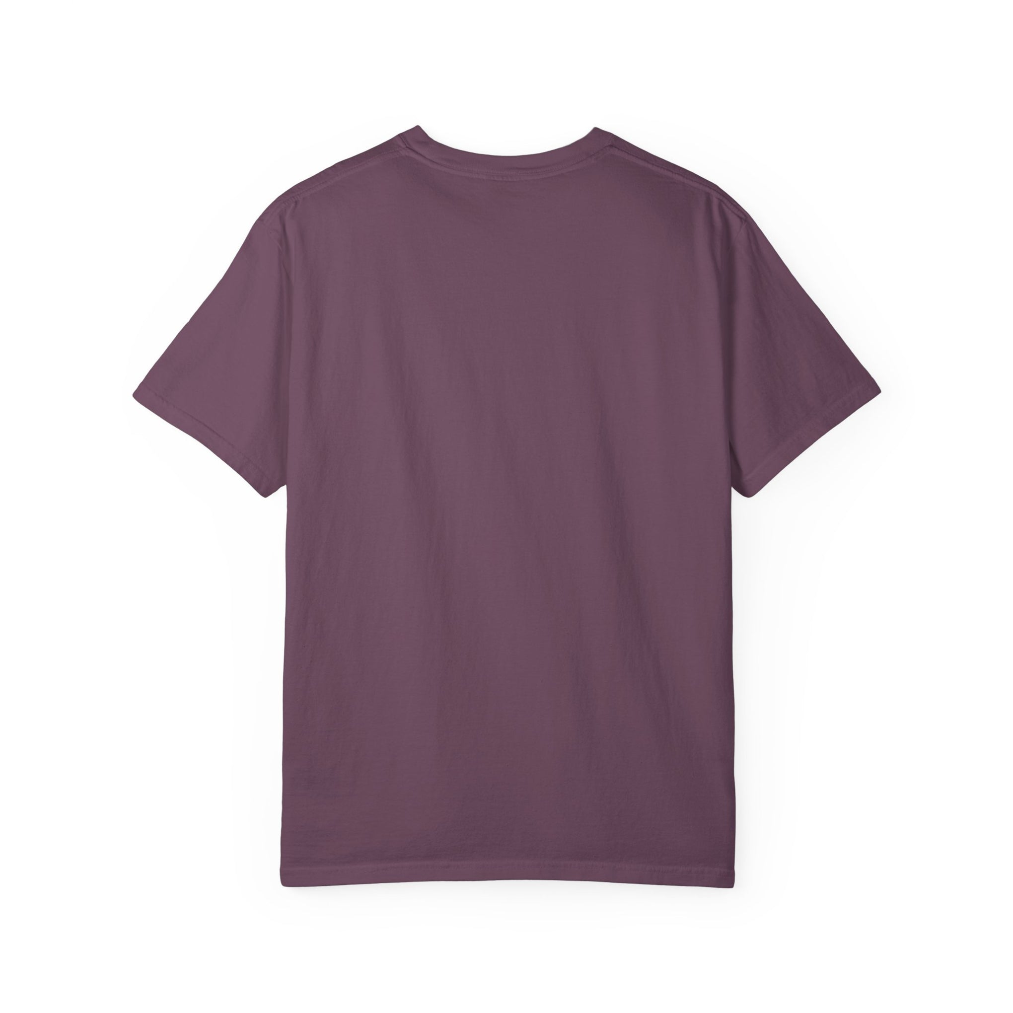 My Dad Has 2 Million Safe Miles T-Shirt — Truck Driver Appreciation Gift