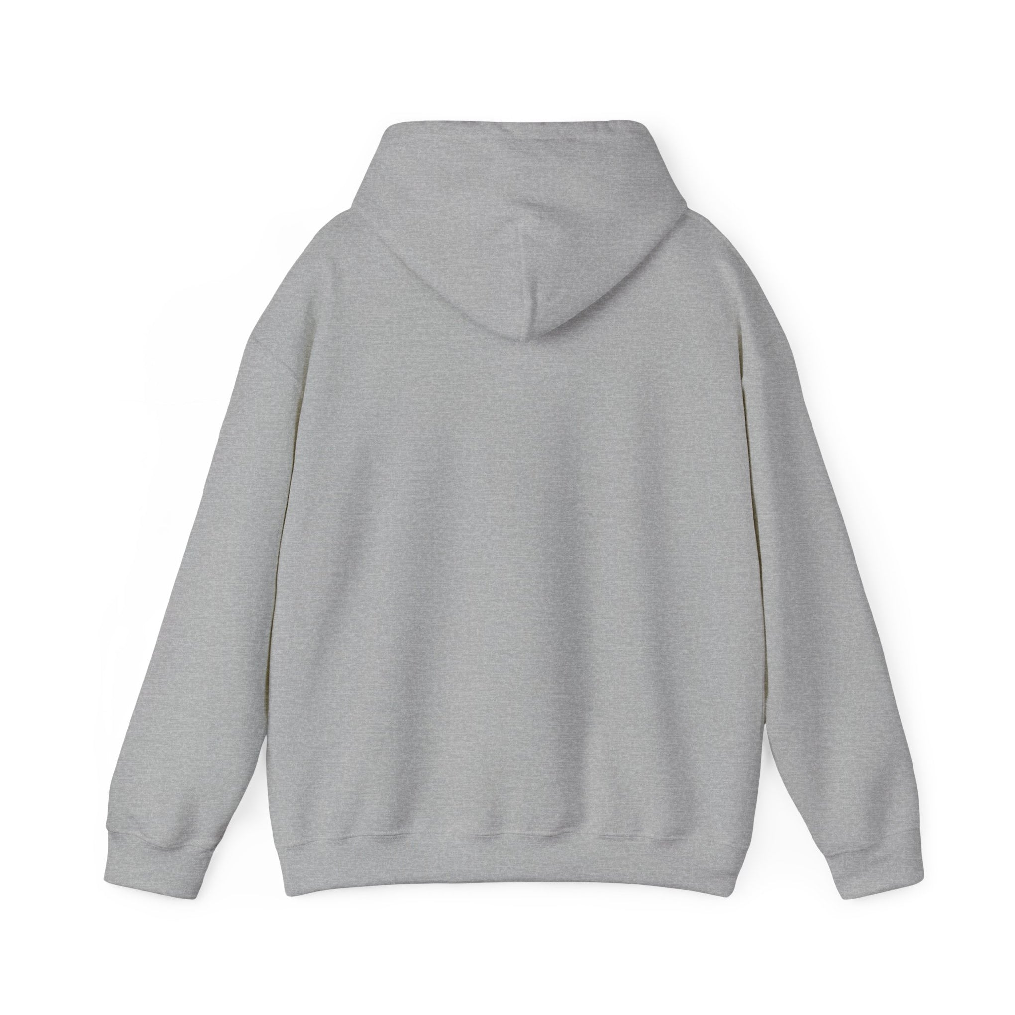 Trucker Hoodie — “3 Simple Rules: Be Safe, Enjoy The Ride, Don’t Hit Sh!t” Graphic Sweatshirt