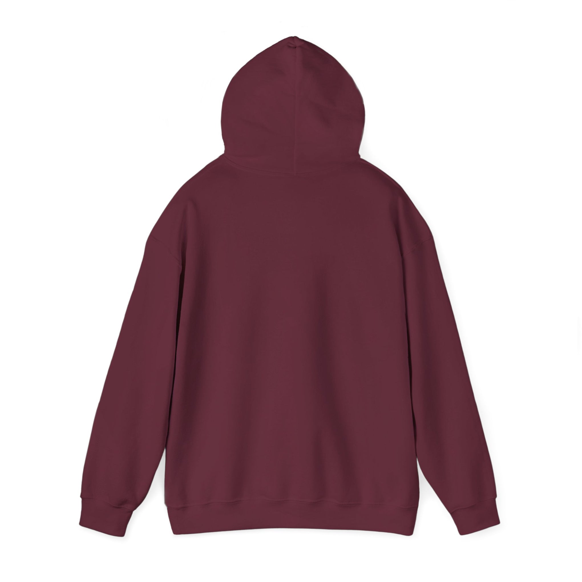 Hoodie — Choose Wisely Angel vs Demon Graphic Pullover