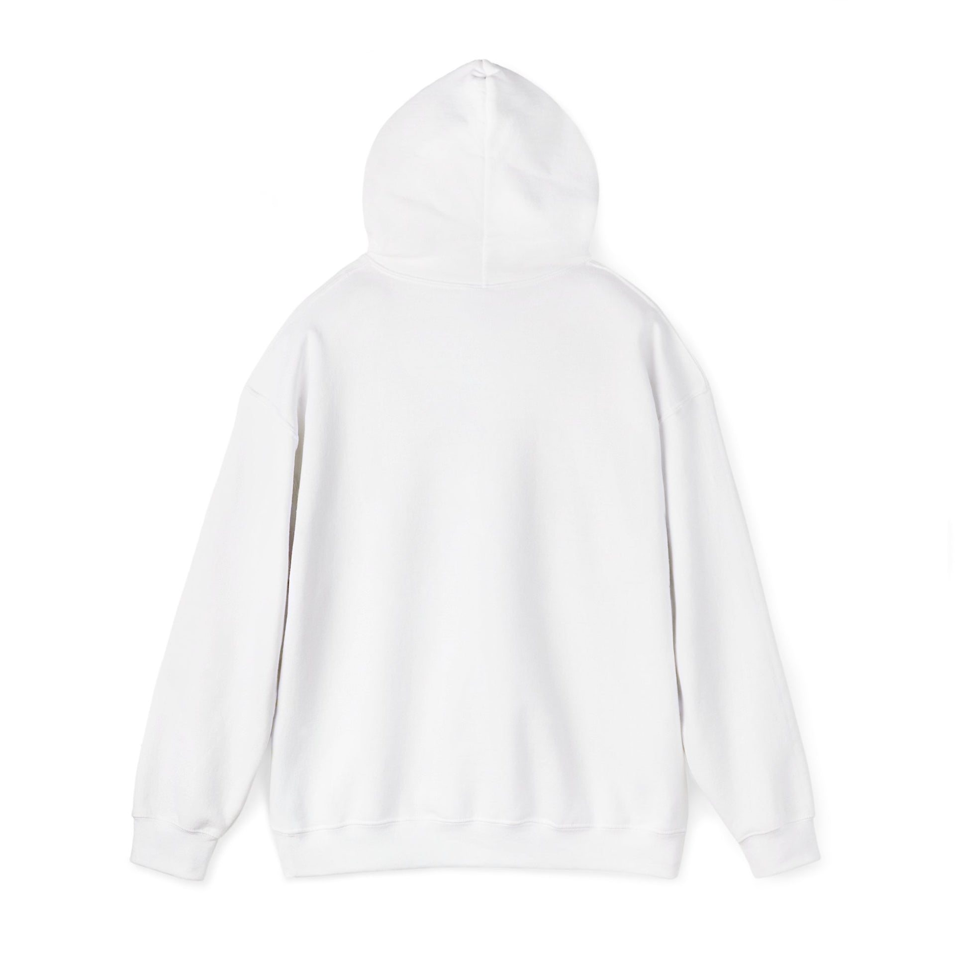 Trucker Hoodie — “3 Simple Rules: Be Safe, Enjoy The Ride, Don’t Hit Sh!t” Graphic Sweatshirt