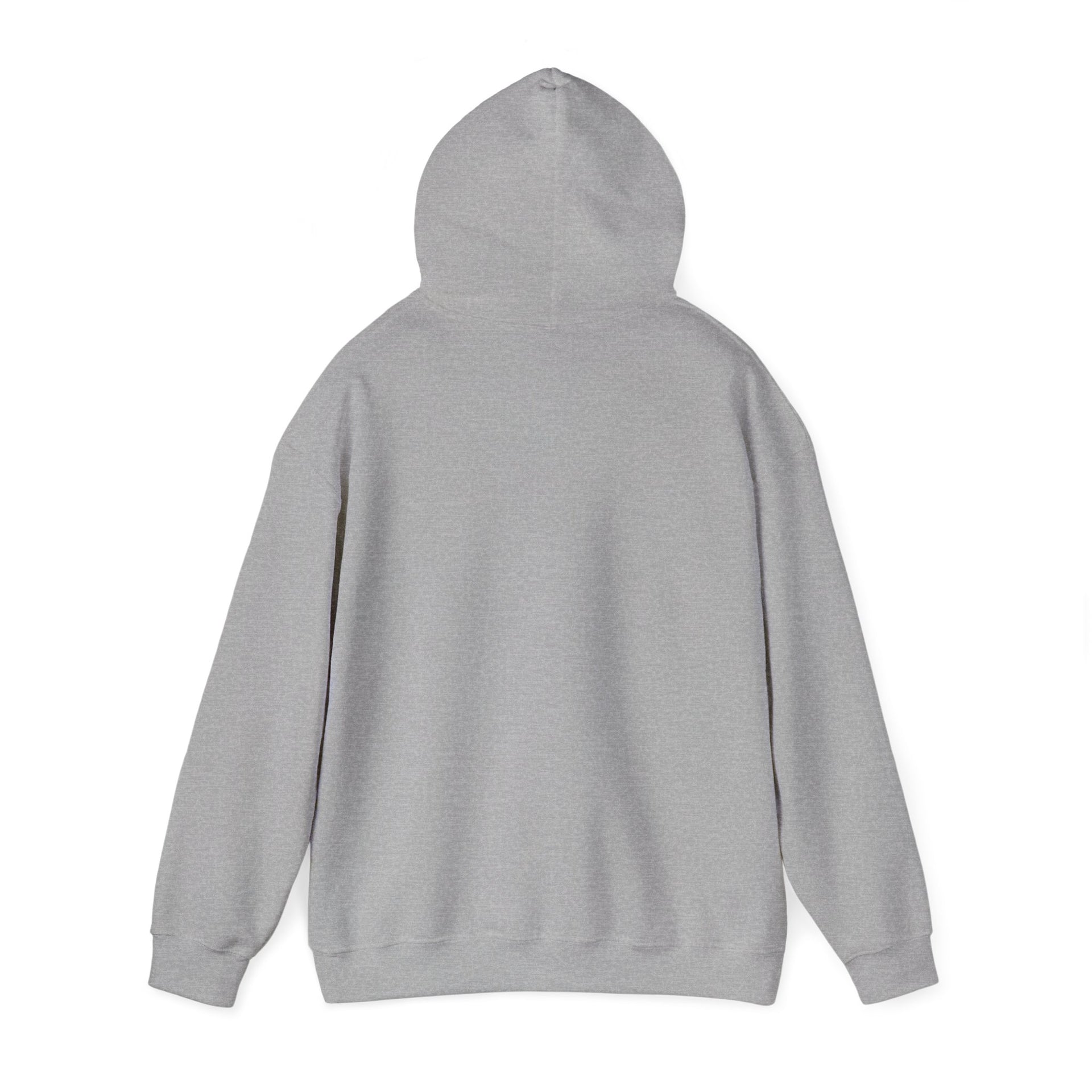 Trucker Hoodie — “3 Simple Rules: Be Safe, Enjoy The Ride, Don’t Hit Sh!t” Graphic Sweatshirt