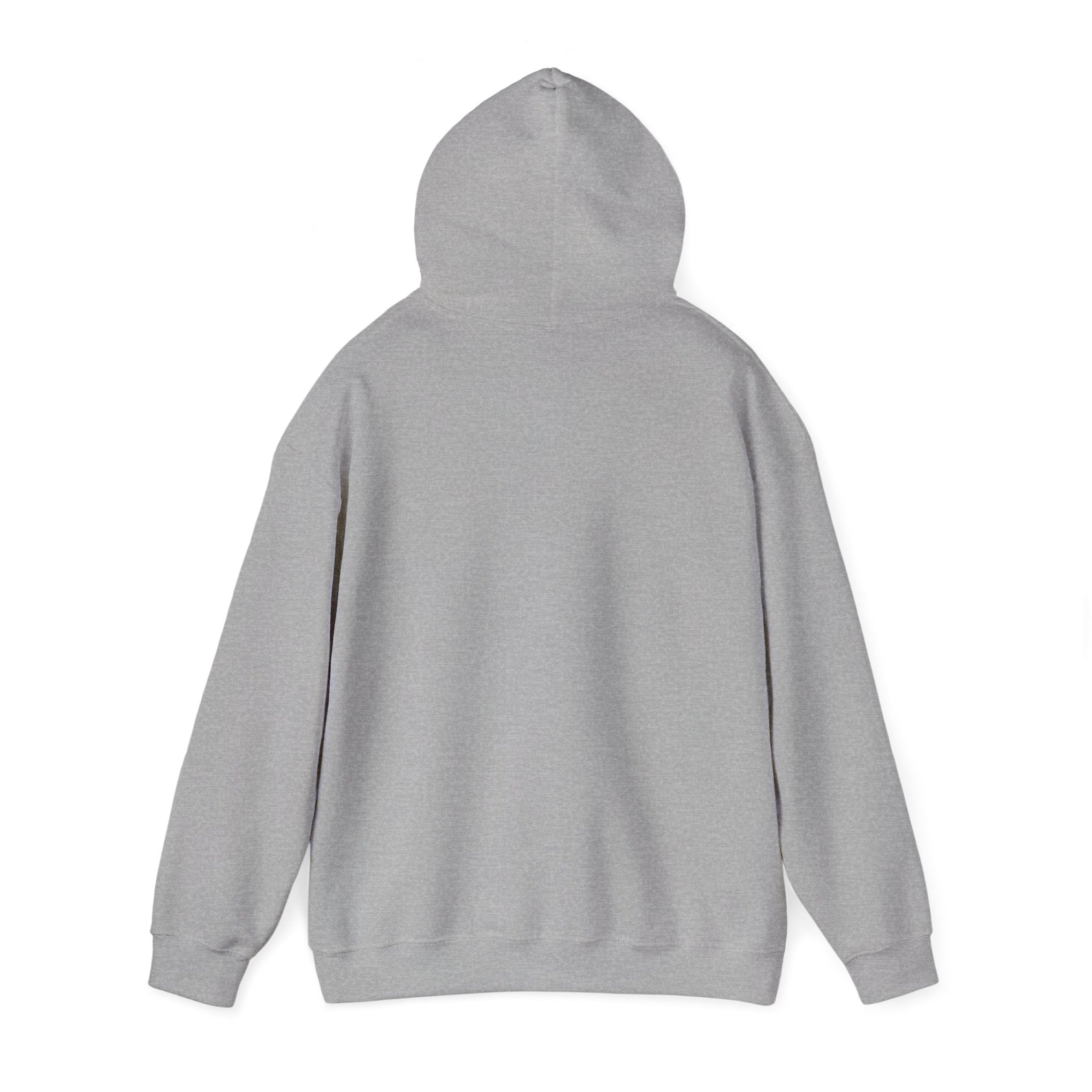 Trucker Hoodie — “3 Simple Rules: Be Safe, Enjoy The Ride, Don’t Hit Sh!t” Graphic Sweatshirt
