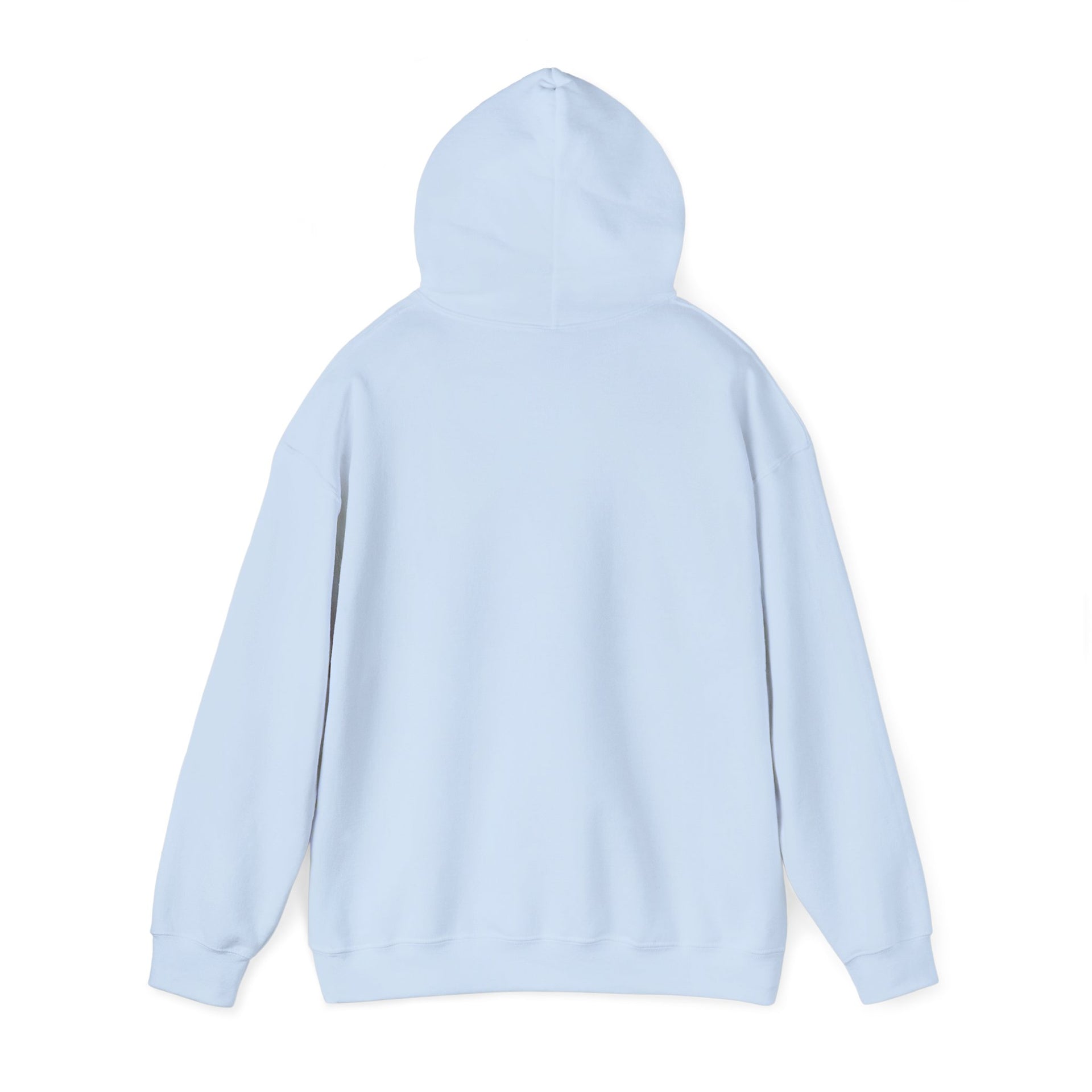 Trucker Hoodie — “3 Simple Rules: Be Safe, Enjoy The Ride, Don’t Hit Sh!t” Graphic Sweatshirt