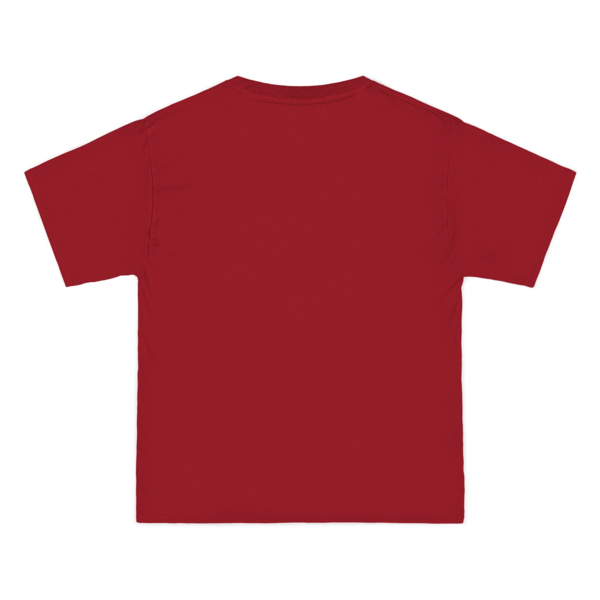 Big an Tall Graphic T-Shirt — "3 Simple Rules: Enjoy the Ride"