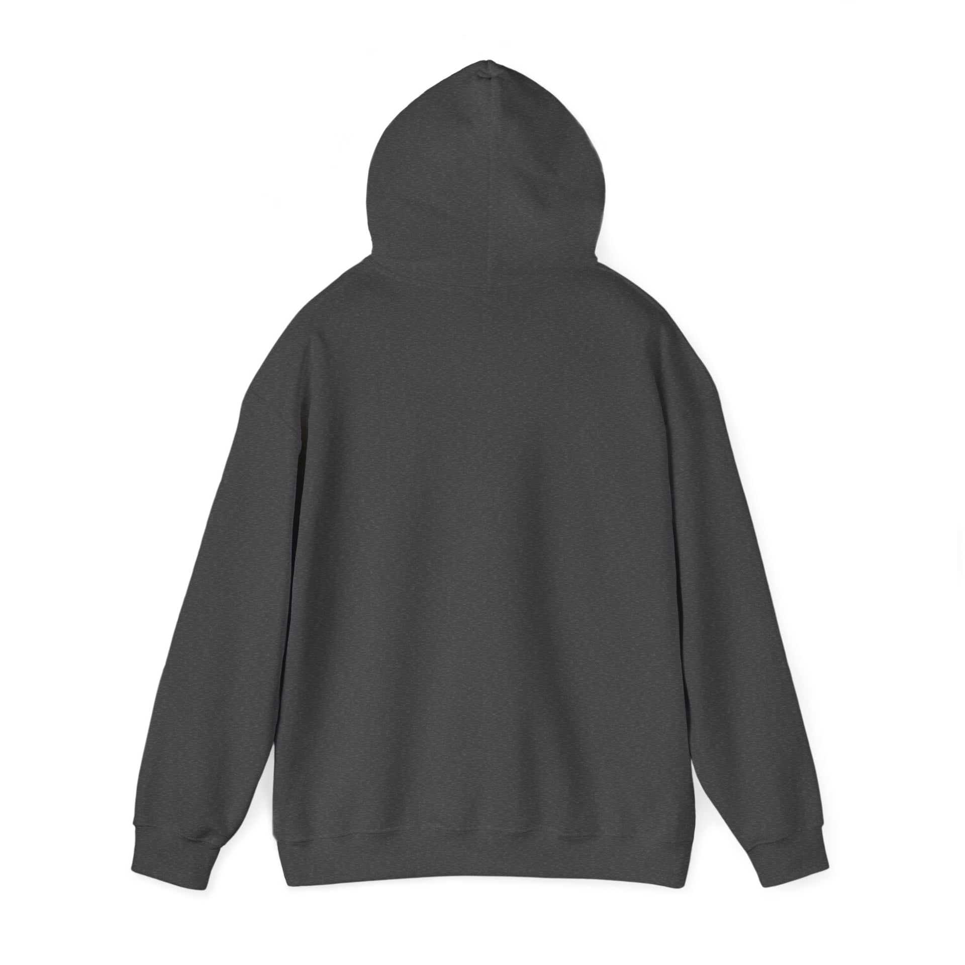 Hoodie — Choose Wisely Angel vs Demon Graphic Pullover