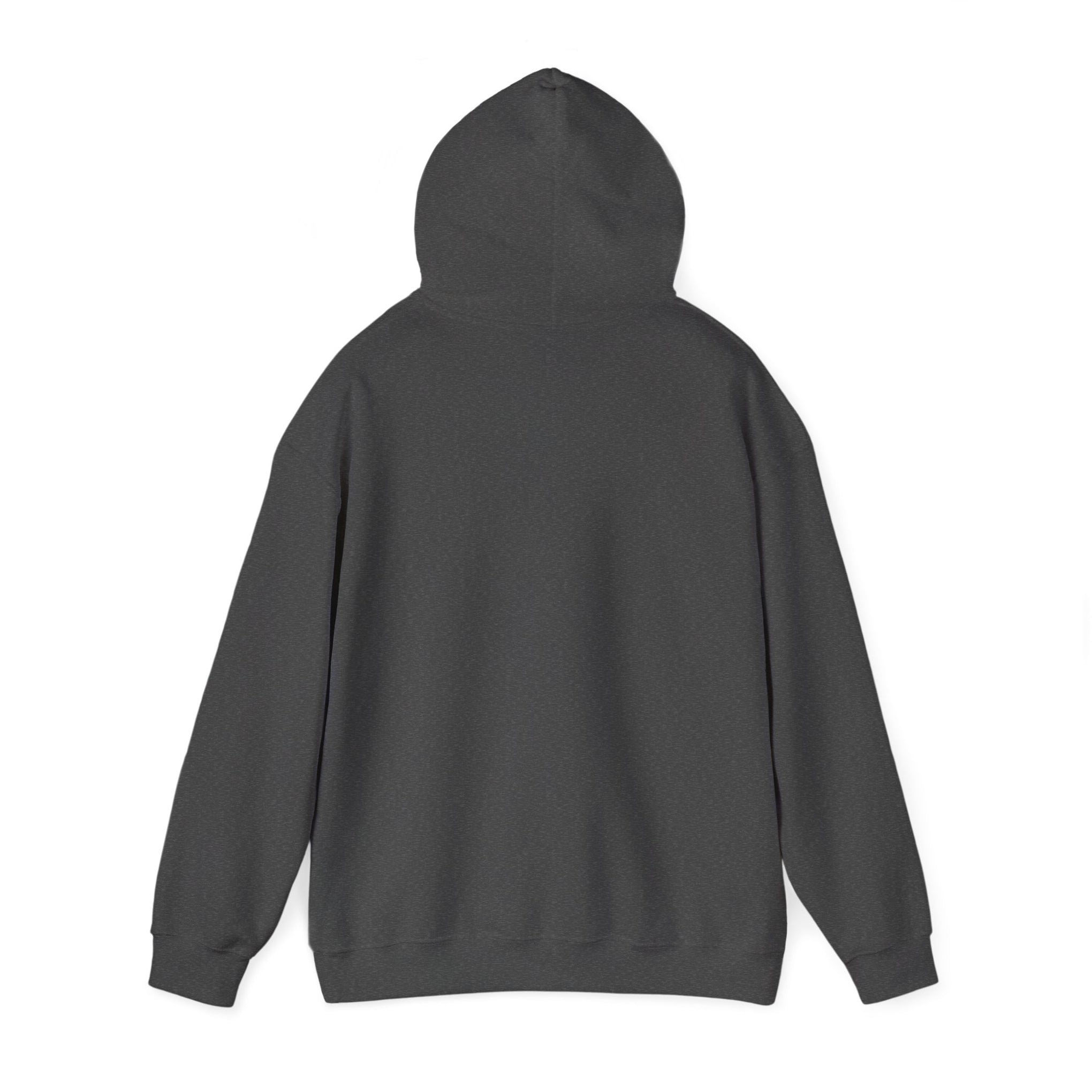 Hoodie — Choose Wisely Angel vs Demon Graphic Pullover