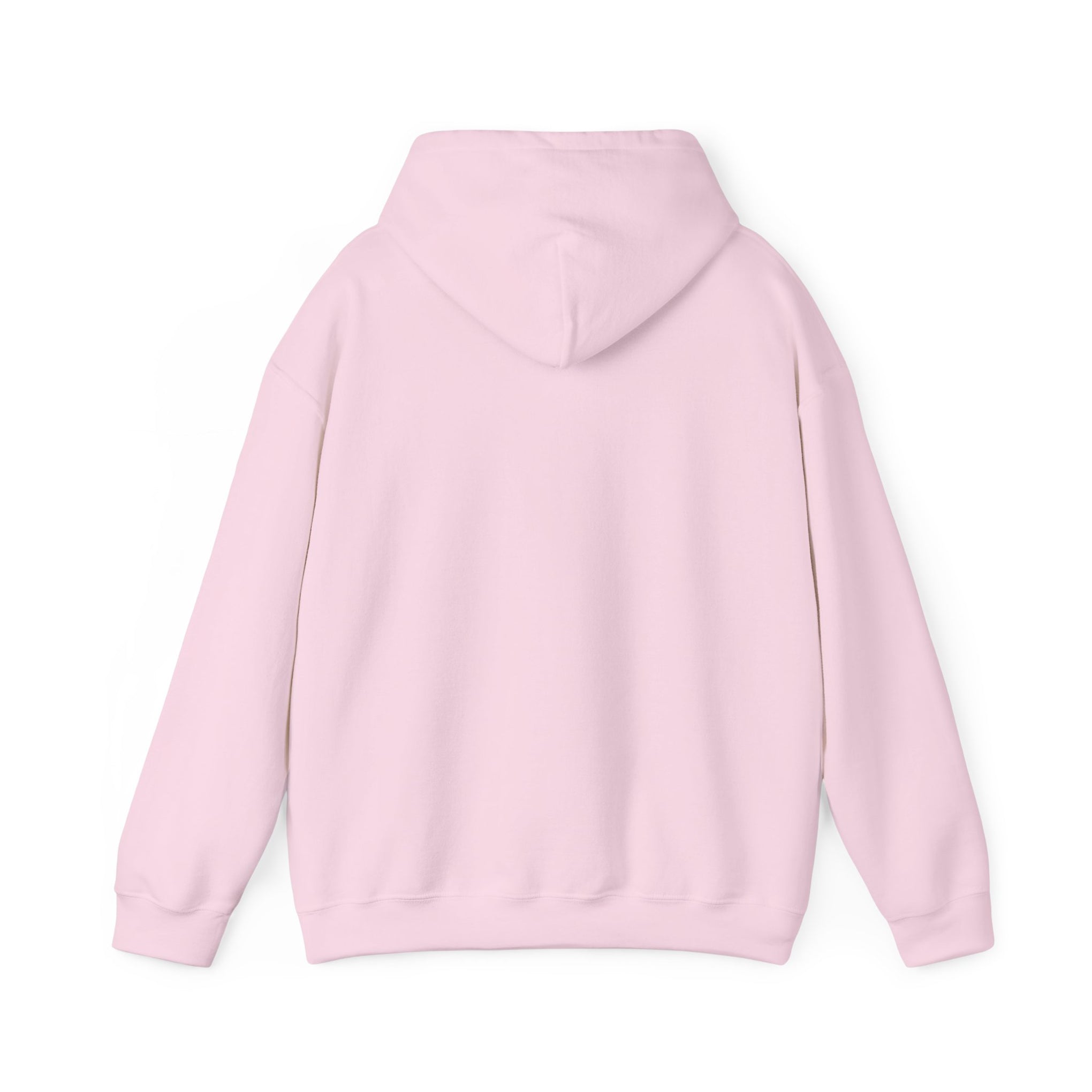 Trucker Hoodie — “3 Simple Rules: Be Safe, Enjoy The Ride, Don’t Hit Sh!t” Graphic Sweatshirt