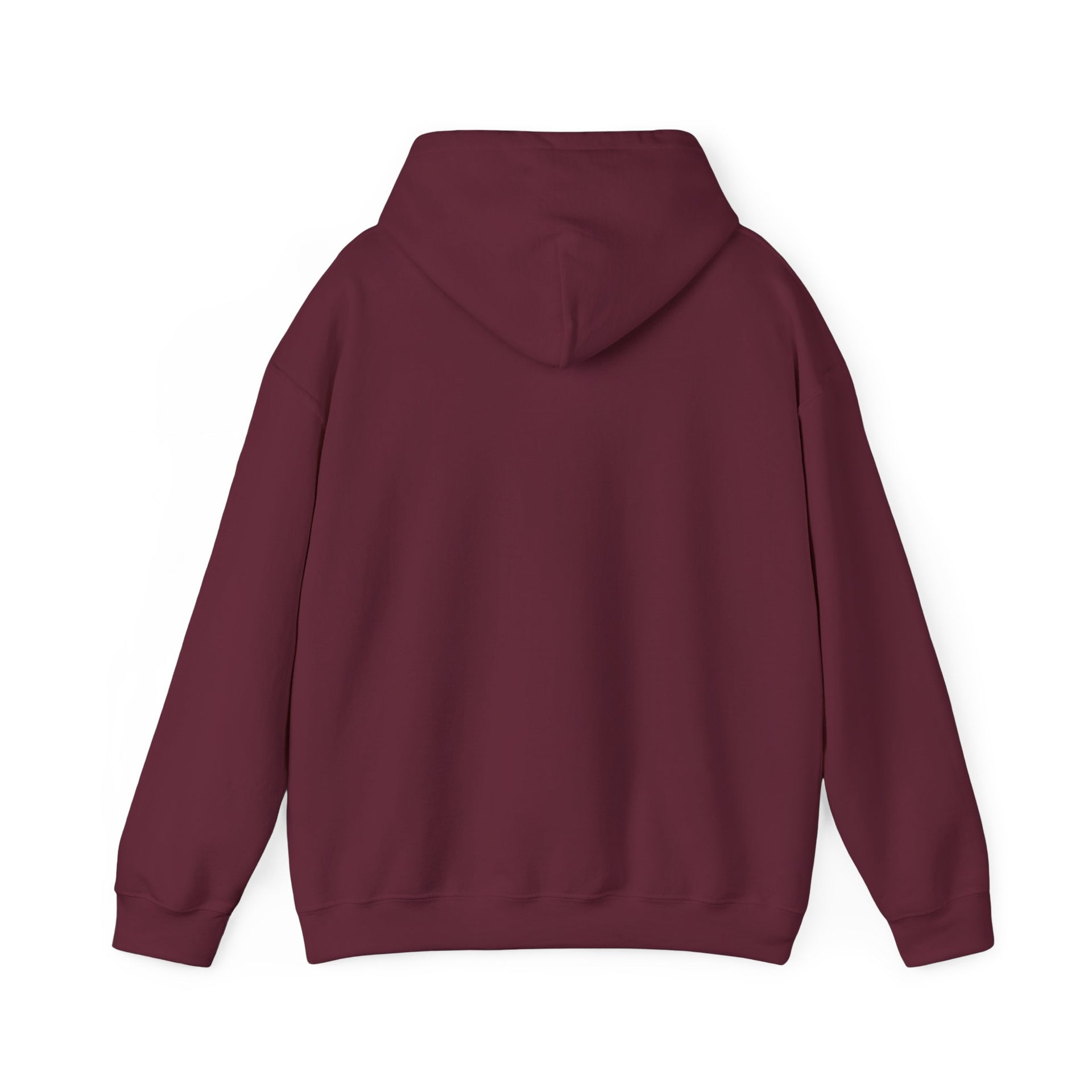 Hoodie — Choose Wisely Angel vs Demon Graphic Pullover
