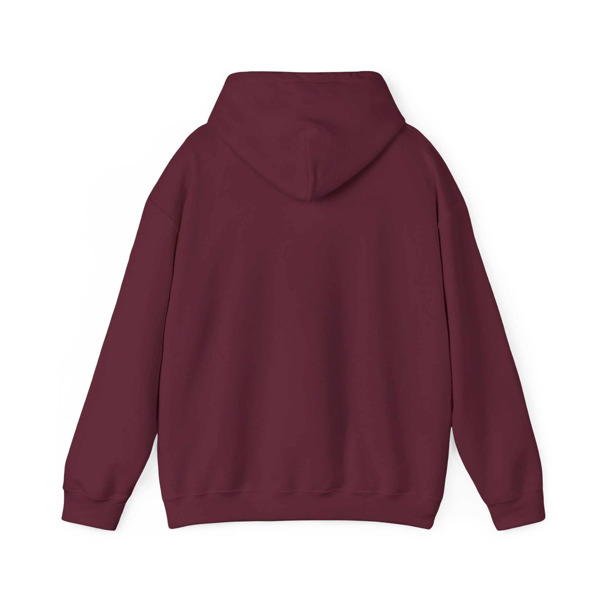 Hoodie — Choose Wisely Angel vs Demon Graphic Pullover