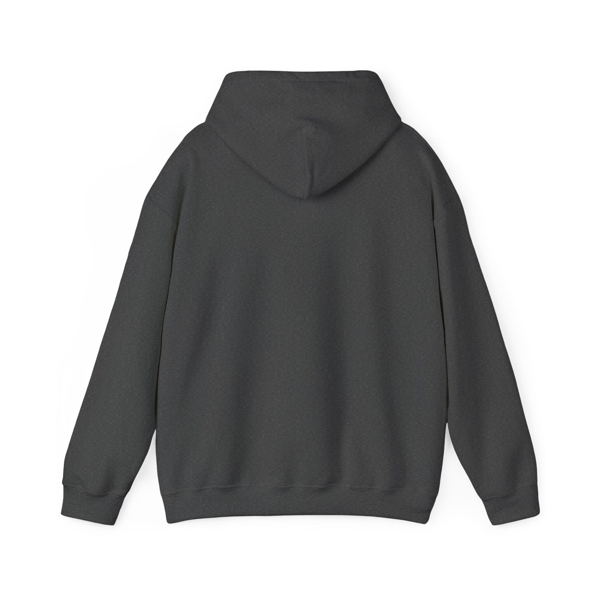 Hoodie — Choose Wisely Angel vs Demon Graphic Pullover