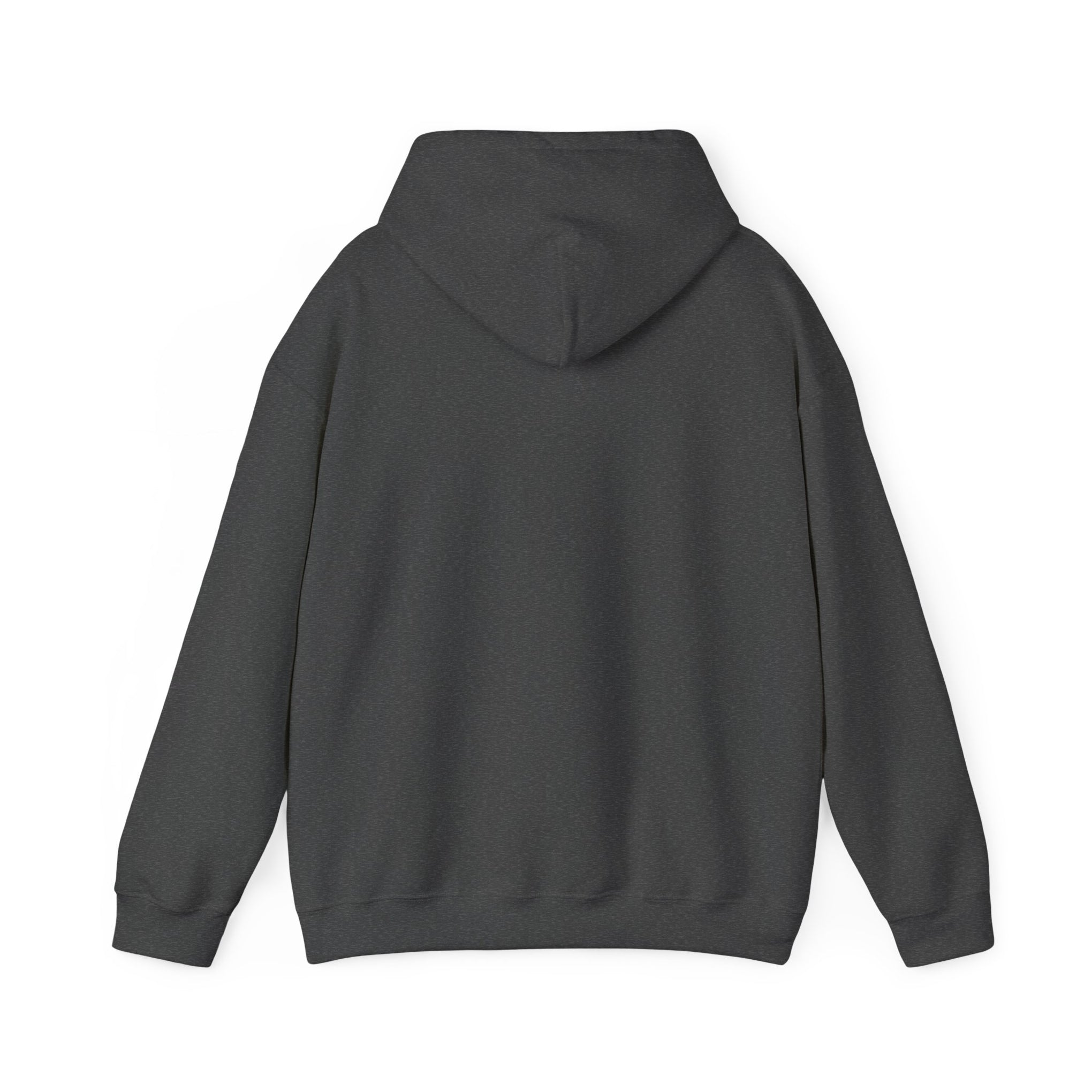 Hoodie — Choose Wisely Angel vs Demon Graphic Pullover