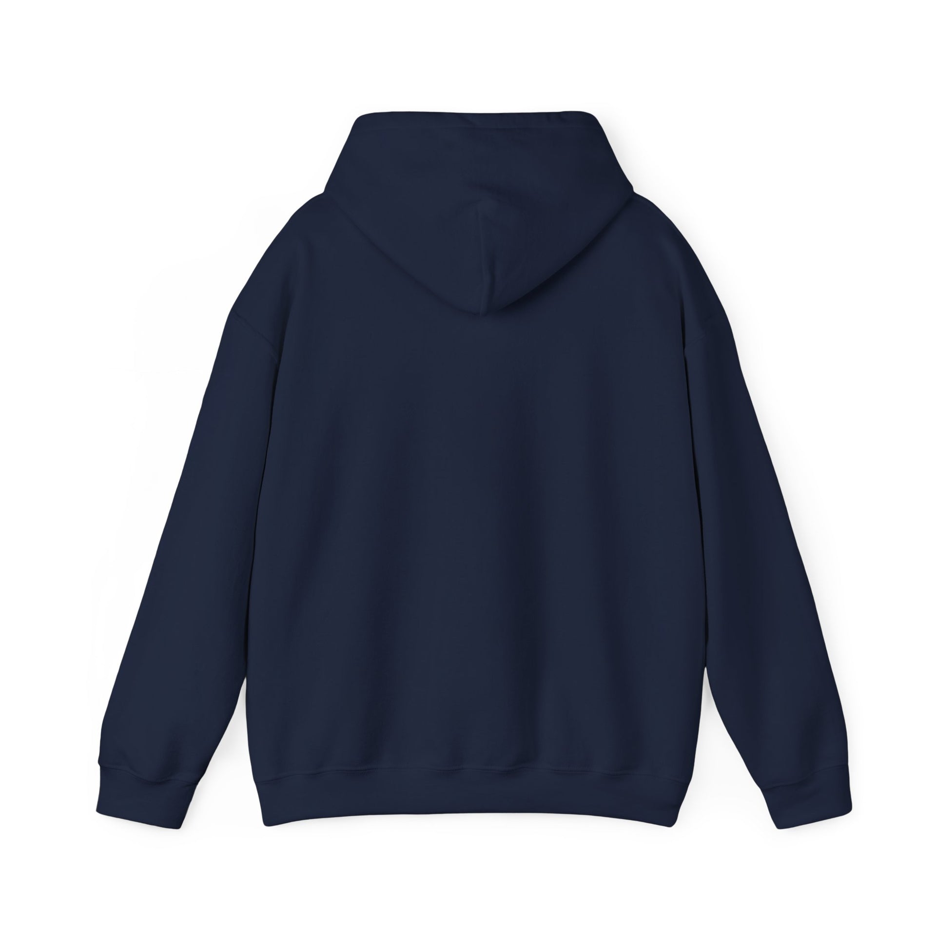 Hoodie — Choose Wisely Angel vs Demon Graphic Pullover
