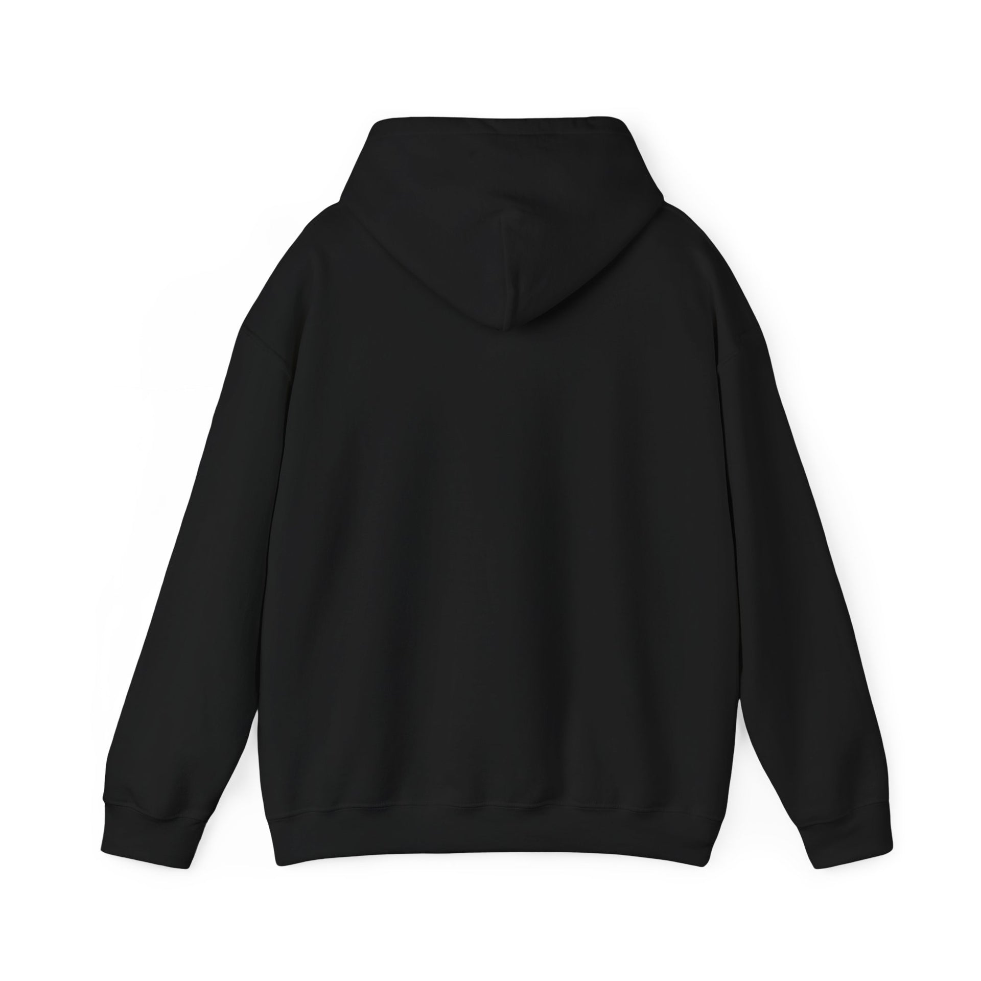 Trucker Hoodie — “3 Simple Rules: Be Safe, Enjoy The Ride, Don’t Hit Sh!t” Graphic Sweatshirt